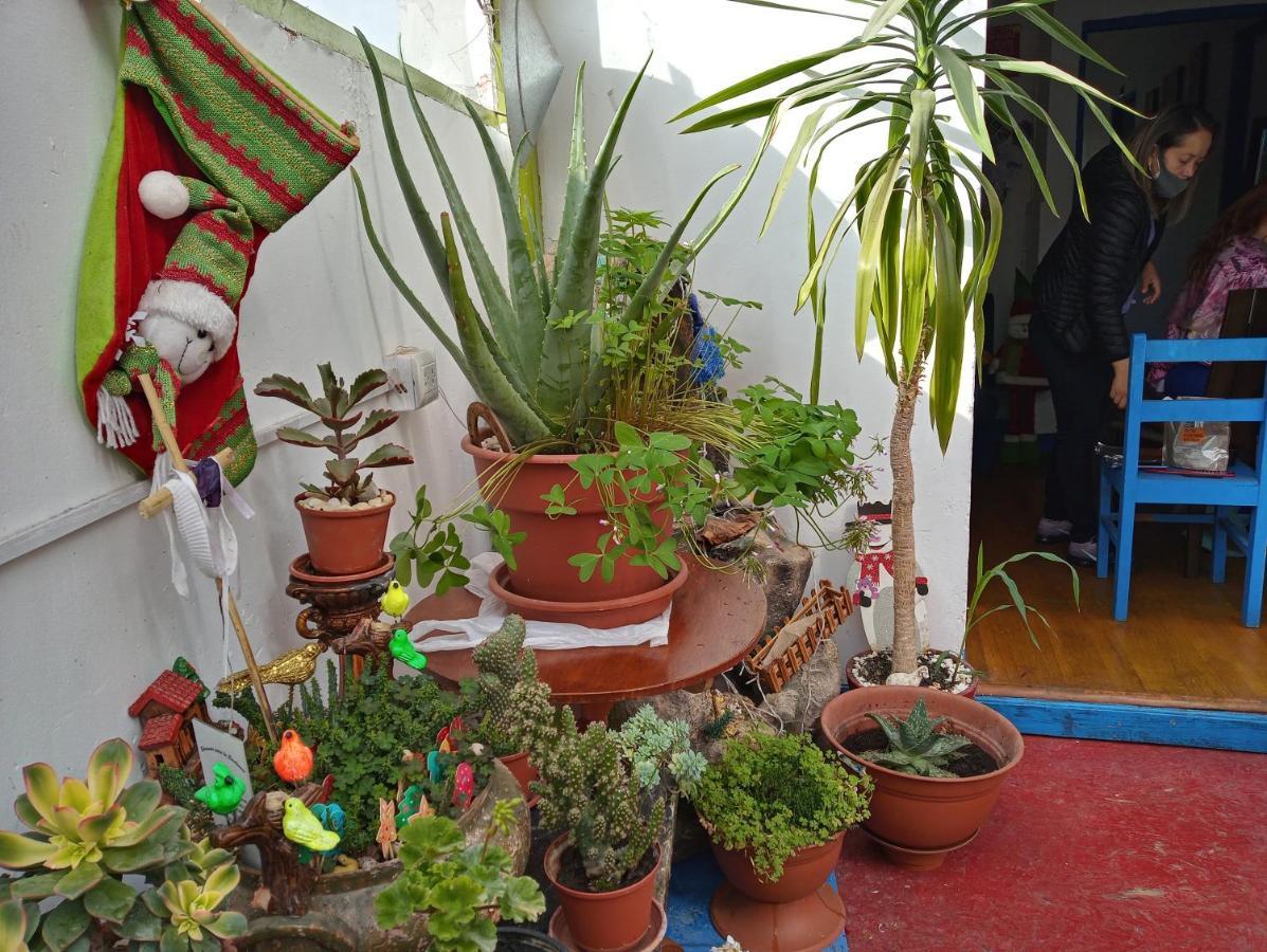 Posada Azul Cuzco Eksteriør bilde